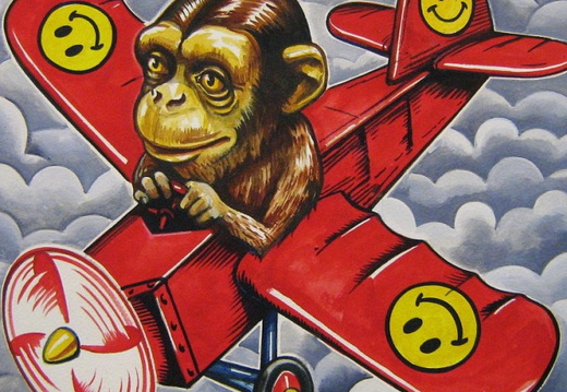 Monkey and Plane 